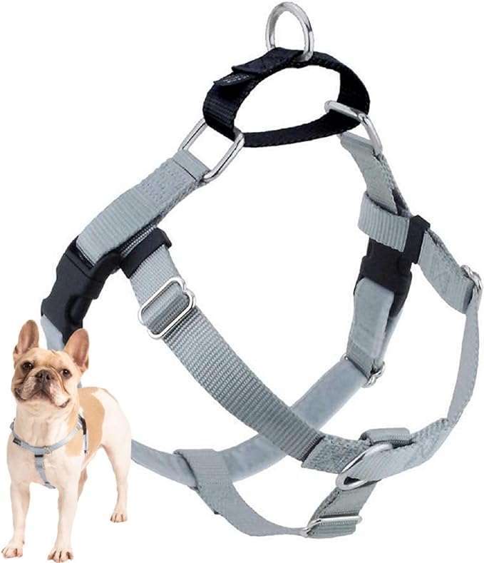 2 Hounds Design Freedom No Pull Dog Harness, Adjustable Harness, Easy Walking & Comfortable Control, Fits Small, Medium & Large Dogs, Solid Colors, Made in USA, 5/8" MD, Silver