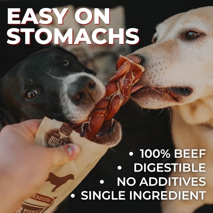 Bully Bunches Premium 12" Standard Odor-Free Bully Sticks for Medium & Large Dogs - Consistently Sized, Long-Lasting, Natural, Single-Ingredient 100% Beef Chews for Oral Health (10-Pack) Made in USA