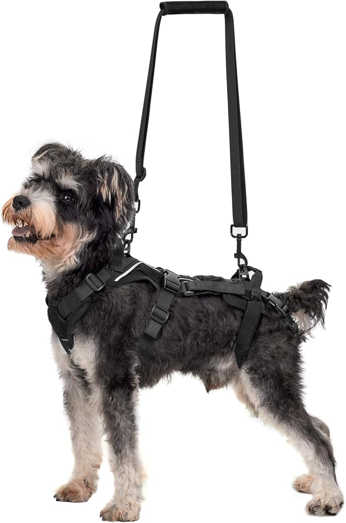 OneTigris Dog Lift Harness for Small Dogs XS, Dog Sling Carrier for Small Dogs, Full Body Lift Harness with Reflective Straps, Dog Support Harness for Back Legs