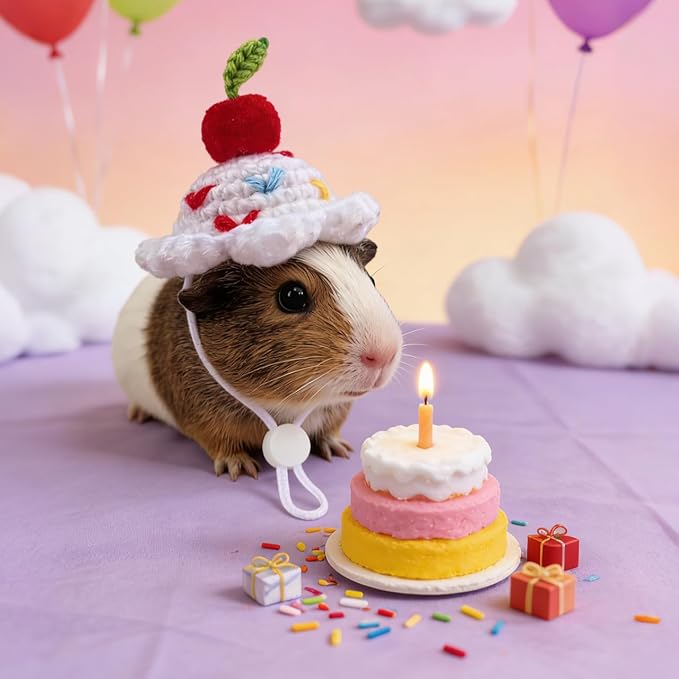 Hamster Hats Mini Party Hats for Small Animals, 6 Pcs Cute Hand Knitted Tiny Hats for Guinea Pig Snakes Lizards Bearded Dragon Bunny Reptile Pets Clothes Valentine's Day Party Costume Accessories