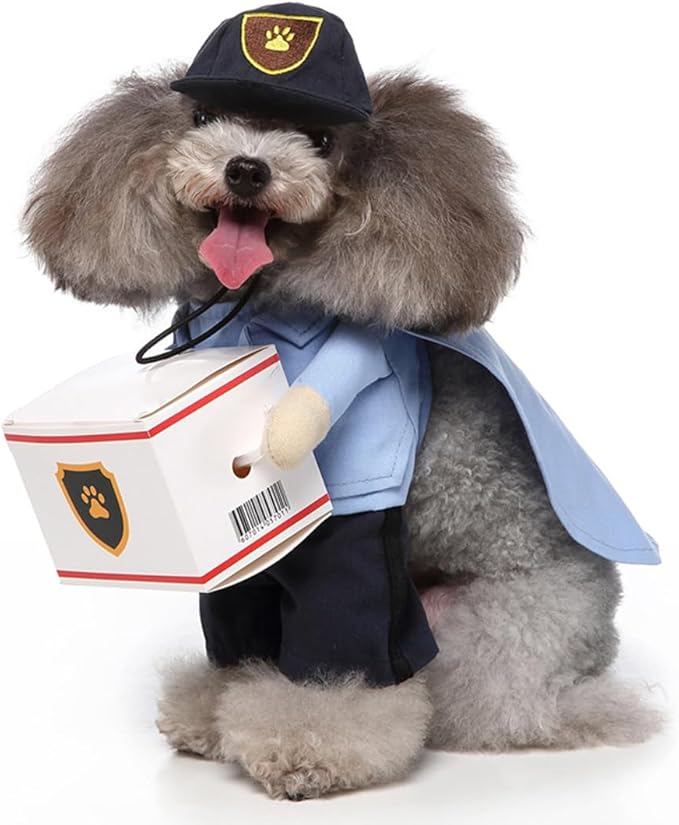 Puppy Courier Dog Costume, Pet Cosplay Clothes Halloween Christmas Funny Party Costume for Cats and Small Dogs (Small, Sky Blue)
