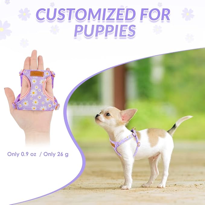 SlowTon Dog Harness Small Sized Dog - Soft XXS Dog Harness and Leash Set No Pull No Chock, Adjustable Lightweight Puppy Harness for XS Small Medium Dogs Cats (Purple Dasiy, XS)