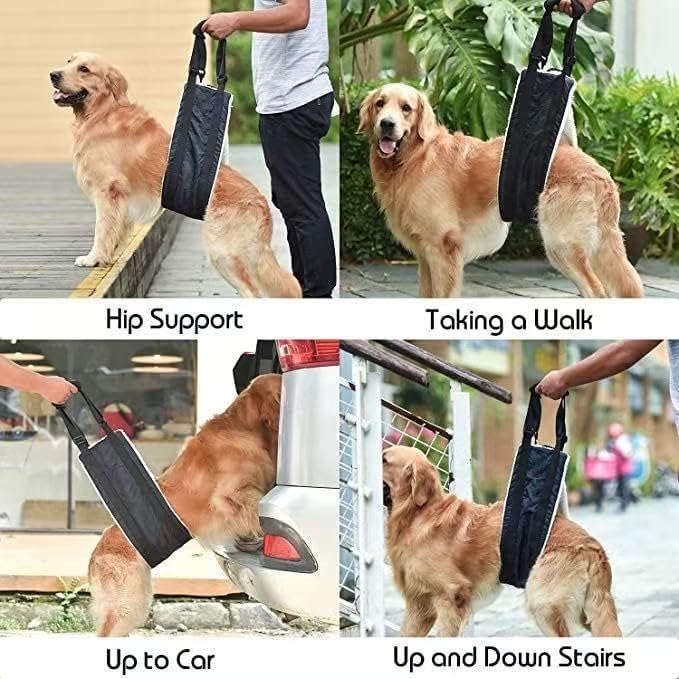 Portable Canine Hind Leg Support Strap, Hip Lift Assistance Harness for Raising The Hind Legs, Heavy-Duty Mobility Assistance Device for Senior, Injured, or Post-Operative Dogs (Small)
