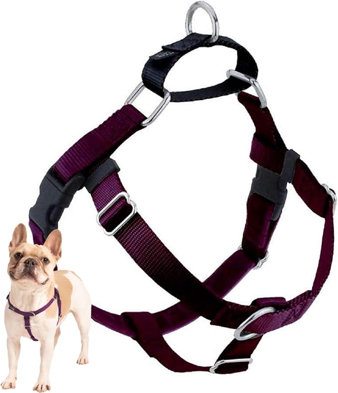2 Hounds Design Freedom No Pull Dog Harness, Adjustable Harness, Easy Walking & Comfortable Control, Fits Small, Medium & Large Dogs, Solid Colors, Made in USA, 5/8" SM, Burgundy