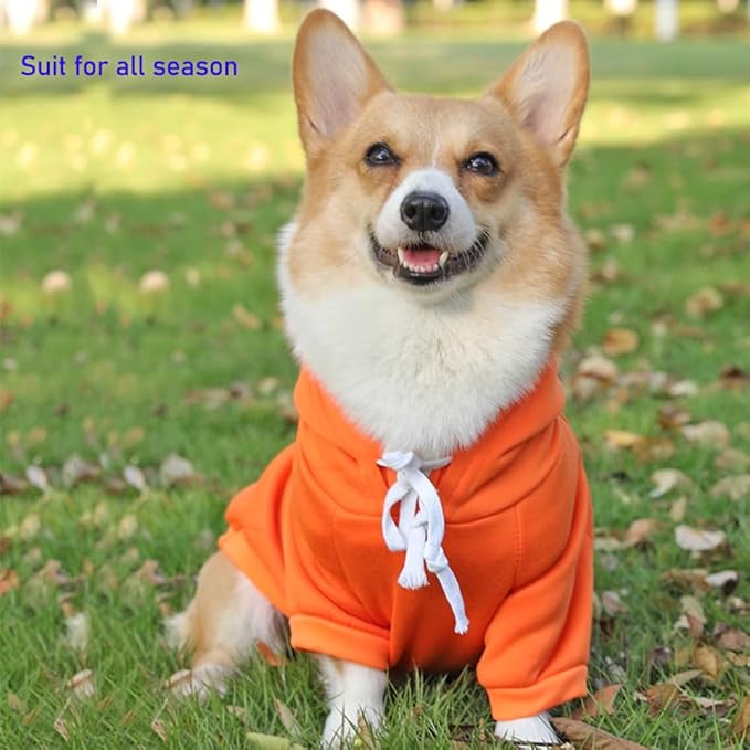 ANIAC Funny Pet Clothes for Small Dog Cat Carrot Dog Hoodies Warm Puppy Sweatshirt Coat with Fruit Hood Fall Cat Sweater Halloween Outfit Easter Dog Carrot Costume (Orange, XX-Large)