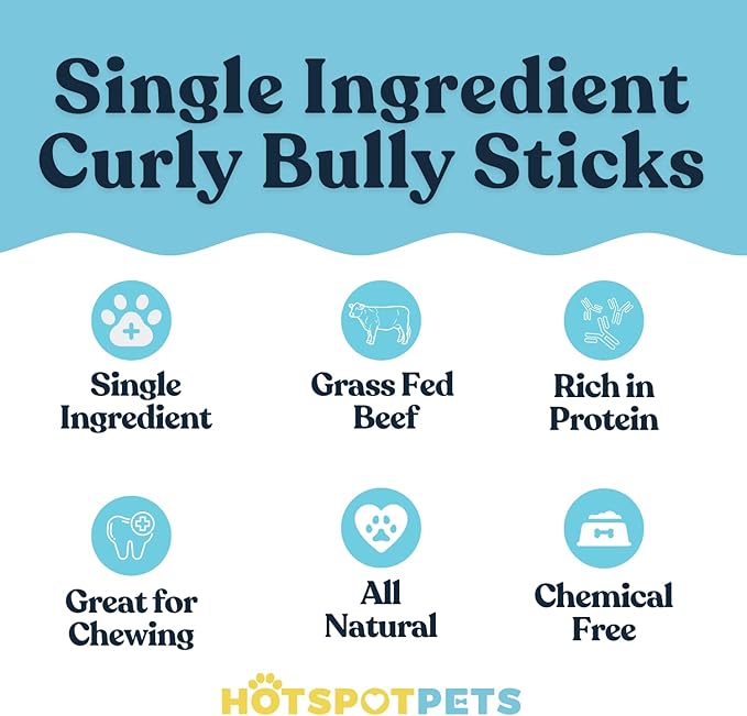 hotspot pets Curly Spring Bully Sticks for Dogs - (12 Pack) Premium All Natural Long Twisted Beef Pizzle Dog Chew Treats - Grain Free Fully Digestible Rawhide Alternative Snack - 6 Inch