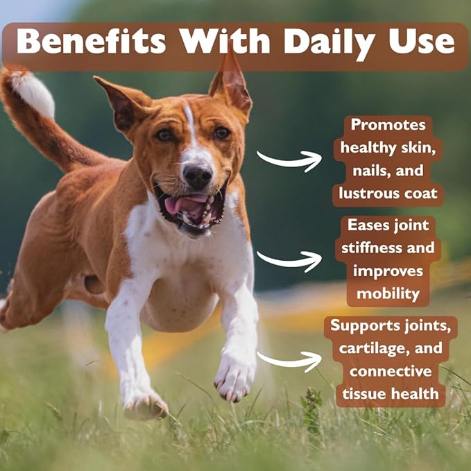 KALA HEALTH PeakTails Chicken Flavored MSM Powder for Dogs, 1 lb, Hip and Joint Support Supplement, Pure and Distilled US-Sourced MSM