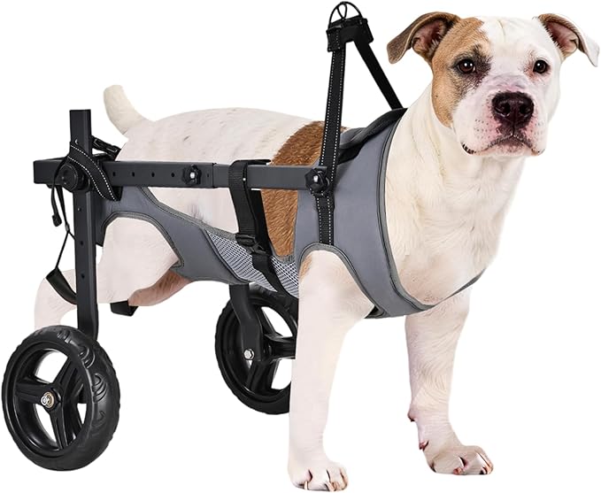 Dog Wheelchair for Back Legs, Adjustable Height/Length/Width, Sturdy Wheelchair with All-Terrain Shock-Absorbing Wheels, Mobility Support for Injured or Disabled Small & Medium Dogs & Cats