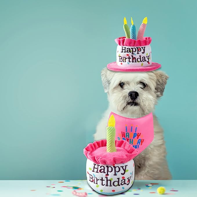 Puppy and Cat Happy Birthday Cake Hat & Bandana Scarfs Set with Colorful Candles Pink for Small Animas, Cat Birthday Party Supplies Decorations