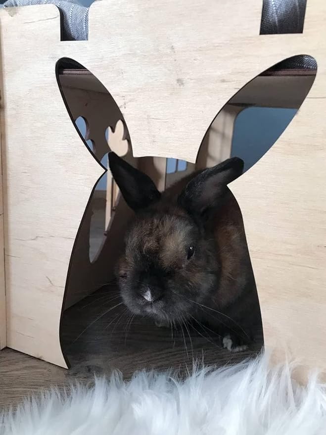 Bunny house with ladder, guinea pig house, rabbit furniture, bunny decoration, rabbit supplies, chinchilla house, pet bed, chinchilla (22.4x13.8x16.9 inch)