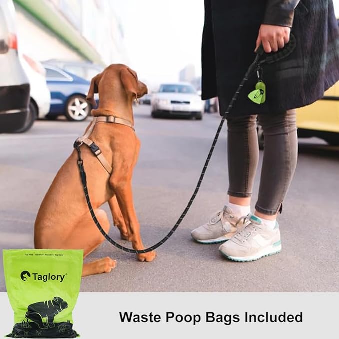 Taglory Rope Dog Leash 5 FT with Comfortable Padded Handle, Highly Reflective Threads Leash and Anti-Tangle Clip for Walking Small Dogs, 3/8 inch, Black