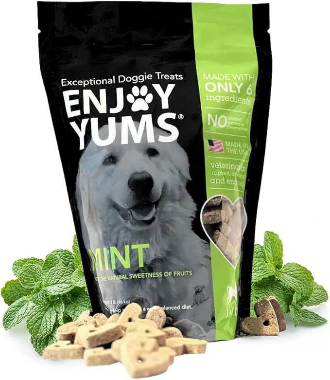 Mint Dog Treats – 1 lb Bag – All-Natural, Low Sugar Dog Biscuits with Peppermint & Honey – Vet-Approved – Made in USA