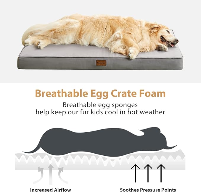 BFPETHOME Outdoor Dog Beds for Large Dogs, Waterproof Dog Bed for Medium, Large, Extra Large Dogs, Orthopedic Pet Bed with Removable Washable Cover, Egg Crate Foam Pet Bed Mat. (30 x 20in, Grey)