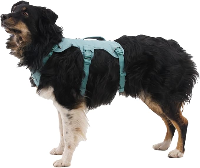 Ruffwear, Web Master, Multi-Use Support Dog Harness, Hiking and Trail Running, Service and Working, Everyday Wear, Blaze Orange, Medium