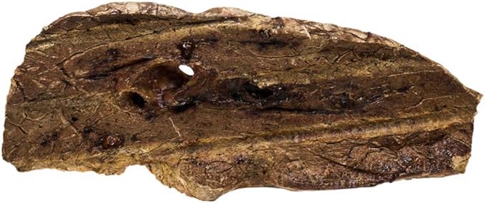 Redbarn Beef Lung Choppers Dog Chew, All-Natural high-Protein Low-Fat Grain-Free, Highly Palatable Treats sourced from Grass-Fed Cattle, 1-Count