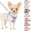 SlowTon Dog Harness Small Sized Dog - Soft XXS Dog Harness and Leash Set No Pull No Chock, Adjustable Lightweight Puppy Harness for XS Small Medium Dogs Cats (Purple Dasiy, S)