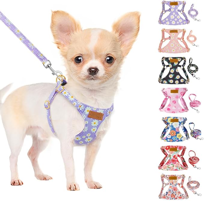 SlowTon Dog Harness Small Sized Dog - Soft XXS Dog Harness and Leash Set No Pull No Chock, Adjustable Lightweight Puppy Harness for XS Small Medium Dogs Cats (Purple Dasiy, XS)