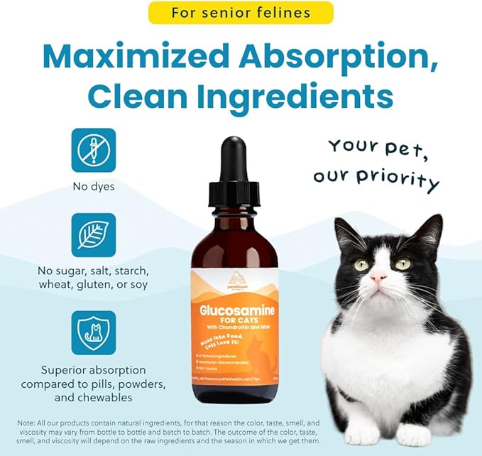 Paramount Pet Health Liquid Glucosamine Chondroitin MSM for Cats, Hip & Joint Support Supplement, Supports Mobility and Flexibility, Senior Cat Liquid Joint Supplement Drops for Daily Care, 2 oz