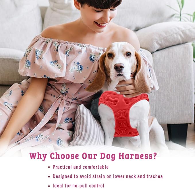 Comfort Fit Dog Harness Small Medium Sized Dogs No Pull Step in Dog Harness with Adjustable Buckles Soft Padded Easy Control Vest Harness Training Walking Running Extra Comfort Inside Velvet Plush