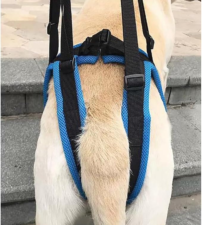 Rear Leg Lift Harness for Dogs—Hip Support Sling with Adjustable Straps, Quick-Release Buckle & Anti-Slip Hook (L/XL), Helps Senior Dogs Climb Stairs, Walk & Get in Cars(S)