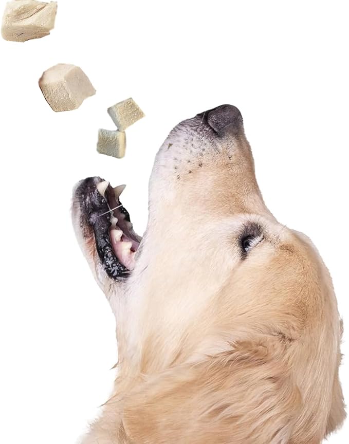 Freeze Dried Super Booster Chicken Bites for Dogs and Cats | Grain-Free, Protein-Packed Training Treats, Great Food Topper, Irresistible for Picky Eaters (5.1 oz (~145g), Just Chicken (Large Pack))