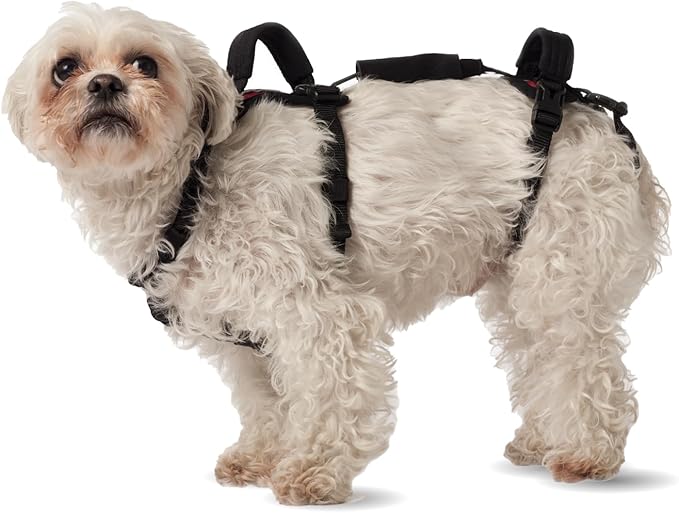 Help 'Em Up® - Dog Lift Harness│ Adjustable Lifting Harness for Dogs │ Full Body Support, Rear Leg Support (Conventional, XS)