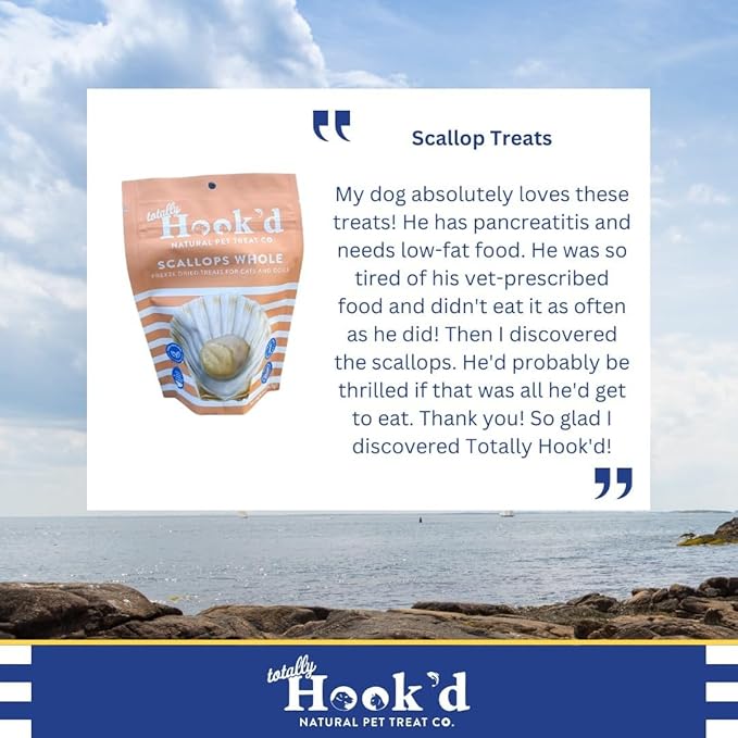 Totally Hook'd Freeze‑Dried Single‑Ingredient Treats, High‑Protein Omega-3 Training Snack for Dogs & Cats (1 Ounce, Scallops)