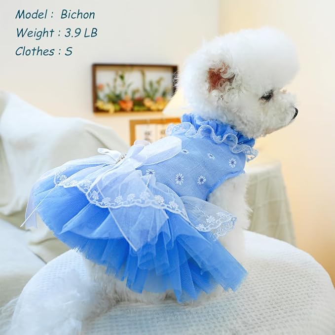 ANIAC Daisy Small Dog Dresses Female with Leash Ring,Bow Knot Girl Puppy Wedding Dress,Valentine's Cat Outfit,Fancy Pet Party Dress for Kitten Chihuahua Yorkie Pomeranian (Blue, X-Small)