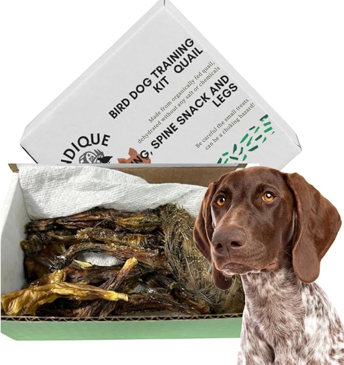 Quail Wing Dog Training Kit - Nutritious Dog Treats and Quail Wing for Effective Dog Training Sessions - Reinforce Positive Behaviors with Training Treats - Not Suitable for Small Breeds