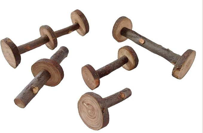 Rolling Apple Chew Toy Combo Pack for Small Animals