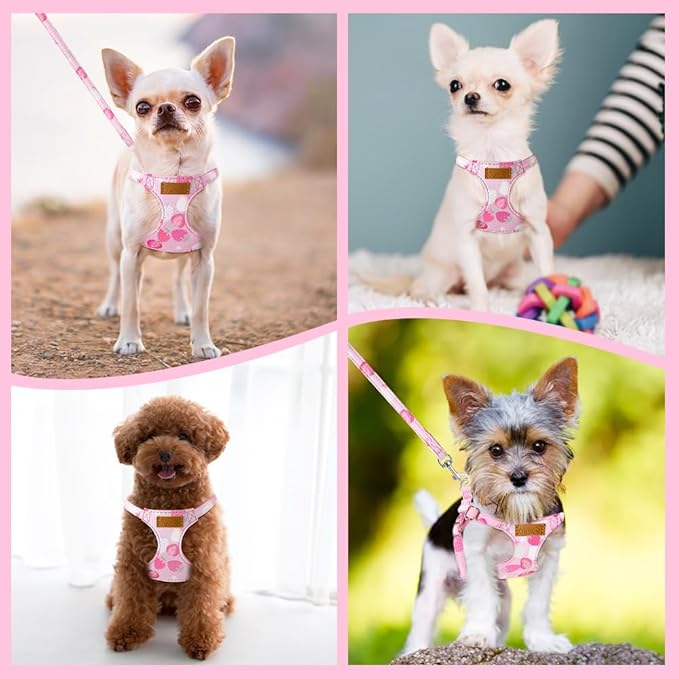 SlowTon No Pull Dog Harness with Leash - Soft Lightweight Floral Pattern Puppy Harness, Adjustable Pet Harness for Small Medium Dogs (Pink Strawberry, XS)
