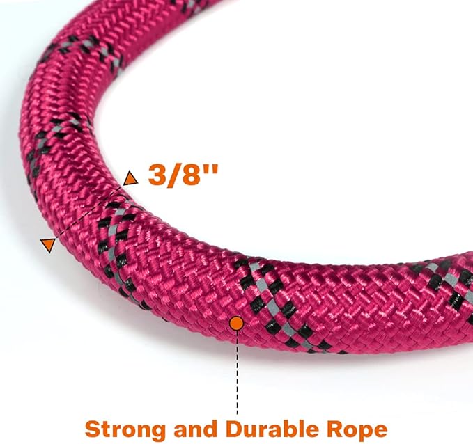 Taglory Rope Dog Leash 4 FT with Comfortable Padded Handle, Highly Reflective Threads Leash and Anti-Tangle Clip for Walking Small Dogs, 3/8 inch, Hotpink