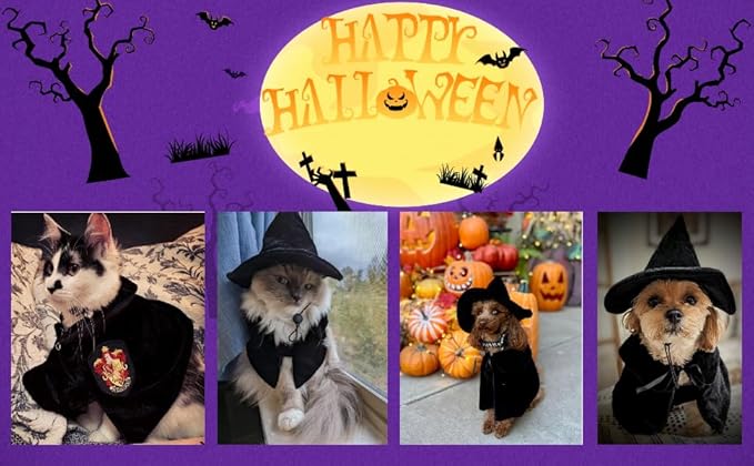 Cute Hooded Cloak Witch/Wizard Halloween Holiday Costume for Small Dogs & Cat Kitten, Cat Halloween Costumes