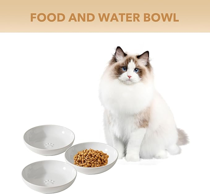 Havniva Ceramic Wide Whisker Friendly Cat Dishes, Set of 3 Ceramic Cat Bowls with Paw Print, Anti-Slip Indoor Kitten Feeding Food& Water Dish to Prevent Whisker Fatigue(3 Pcs, White)