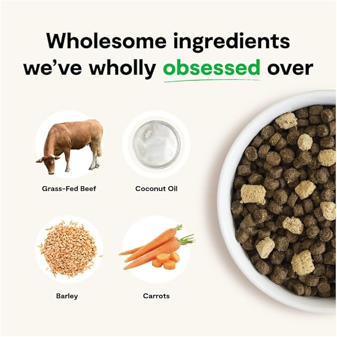 Open Farm, RawMix Dry Dog Food with Ancient Grains, Protein-Packed Kibble Coated in Bone Broth with Freeze Dried Raw Chunks, Beef Pork & Lamb, Front Range Recipe, 3.5lb Bag