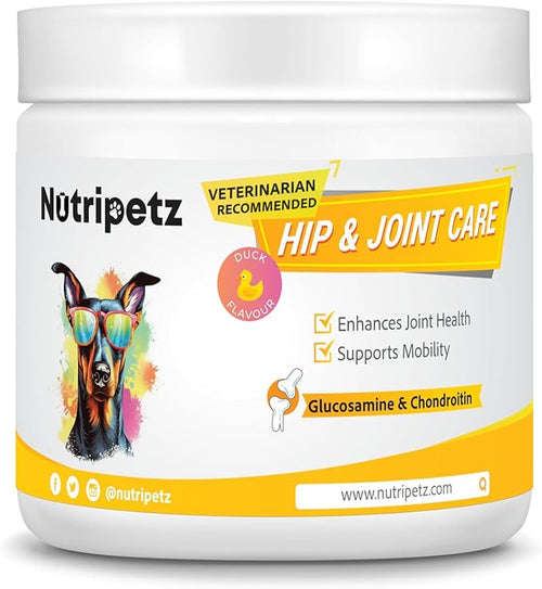 120 Soft Chews - Hip and Joint Supplement for Dogs with Glucosamine, Turmeric & Hemp Chews – Joint Pain Relief & Mobility Support – Dog Treats for All Breeds & Ages