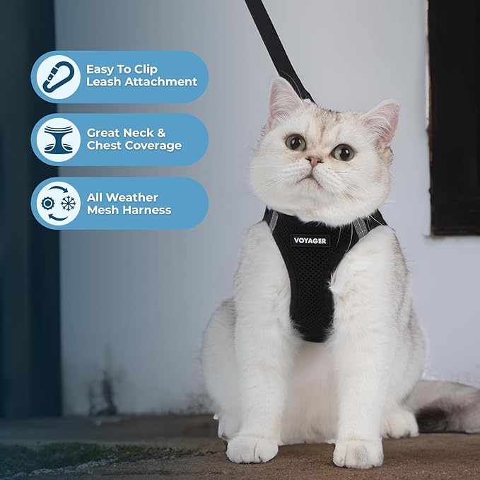 Voyager Step-in Pet Harness - All Weather Mesh, Adjustable Step in Harness for Cats and Dogs by Best Pet Supplies - 307S Black, XS