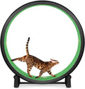One Fast Cat - Cat Exercise Wheel - Gen. 7 - Safe 48" Diameter - Made in The USA - Black Wheel with Tropical Frogs Foam Traction Pads and Solid Inline Wheels