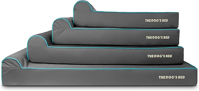 The Dog’s Bed Orthopedic Memory Foam Dog Bed with Headrest, Calming Surface – CertiPUR-Certified Foam, Oxford Fabric, Grey with Blue Trim, XXL, 6-Inch