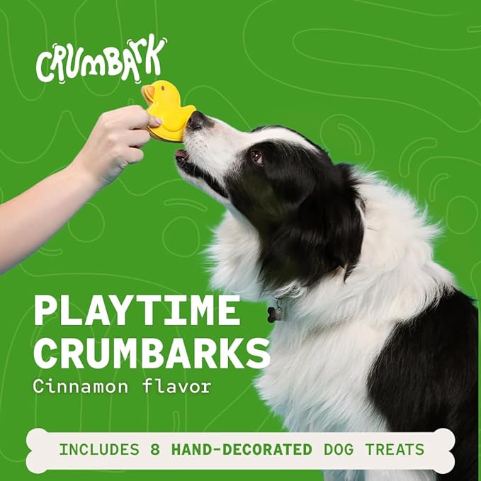 Playtime Biscuits | Hand-Decorated Dog Cookies – 8 Pack in Gift Box | Extra Large Dog Treats 62g Cookie, Vegan Snacks for Dogs, Gifts for Dogs