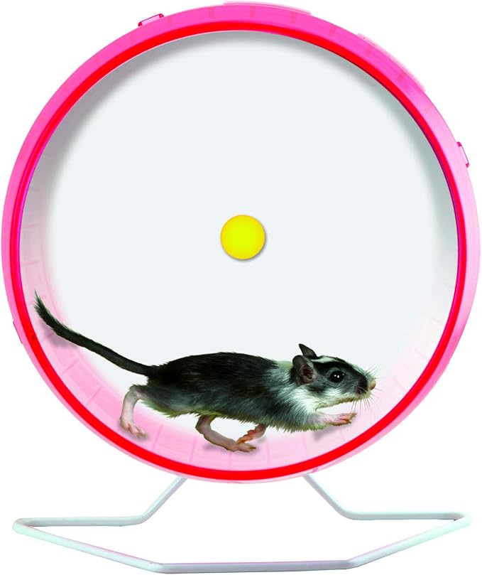 Kaytee Comfort Wheel Giant 12 Inches
