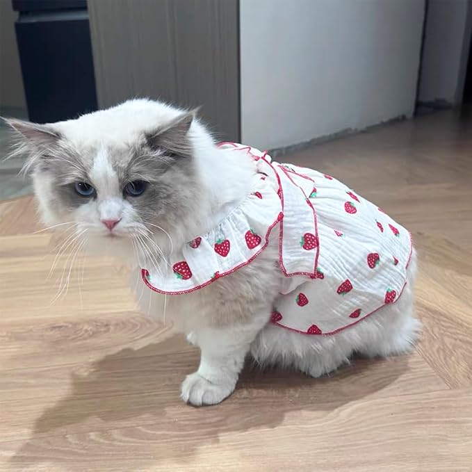 2 Pack Strawberry Dog Dresses with D-Ring Summer Puppy Clothes for Small Dog Girl Spring Cat Outfit Cotton Sleeveless Pet Dress for Kitten Chihuahua Pomeranian Yorkie (Pink White, Large)