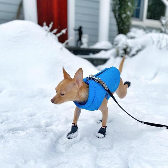 Gooby Puffer Vest - Blue, X-Small - Ultra Thin Zip Up Windbreaker with Dual D Ring Leash - Water Resistant Dog Sweater Coat for Small Dogs