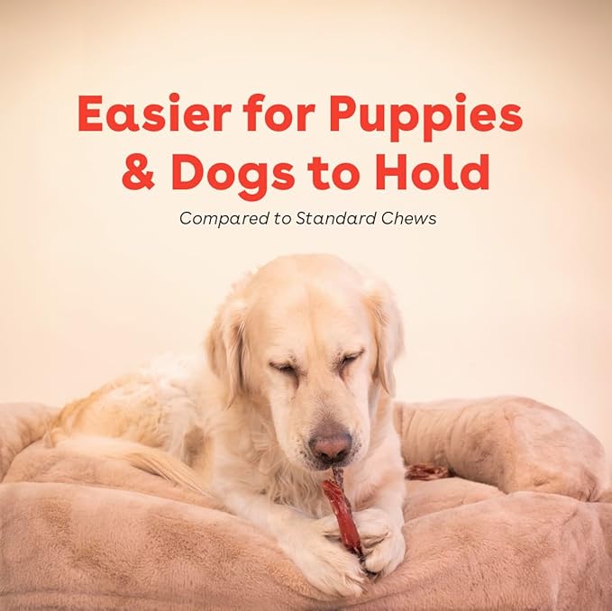 Pupford Bully Stick Rings for Puppies & Dogs, Long-Lasting Beef Dog Chew Treats, 8 Pack