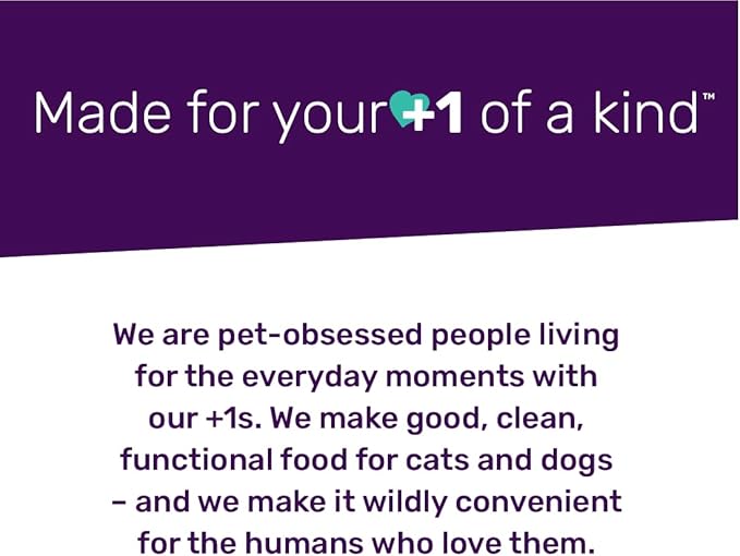 I and Love and You Wet Dog Food Toppers - Top that Gaze Salmon Recipe in Gravy, Filler Free, Meal Enhancer Topper, 3oz 12pk