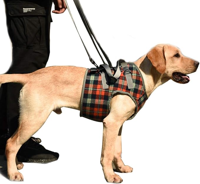 HongGun Pet Lift Support Harness, Dog Auxiliary Belt Front Disability Injury Old Dog Support Harness Injured Dogs Walking for Medium Dogs Large Dogs (S:Orange)