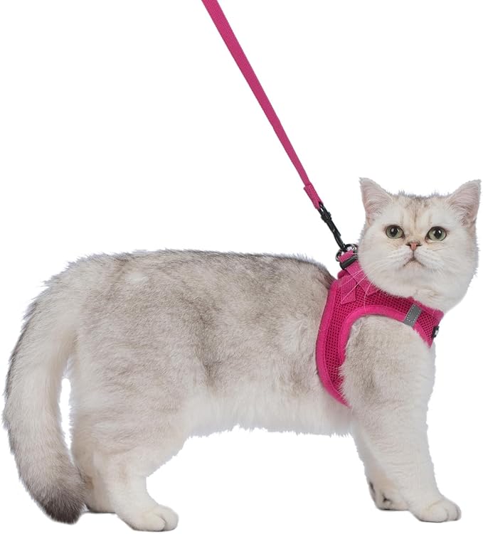 Voyager Step-in Pet Harness - All Weather Mesh, Adjustable Step in Harness for Cats and Dogs by Best Pet Supplies - 307S Fuchsia, S