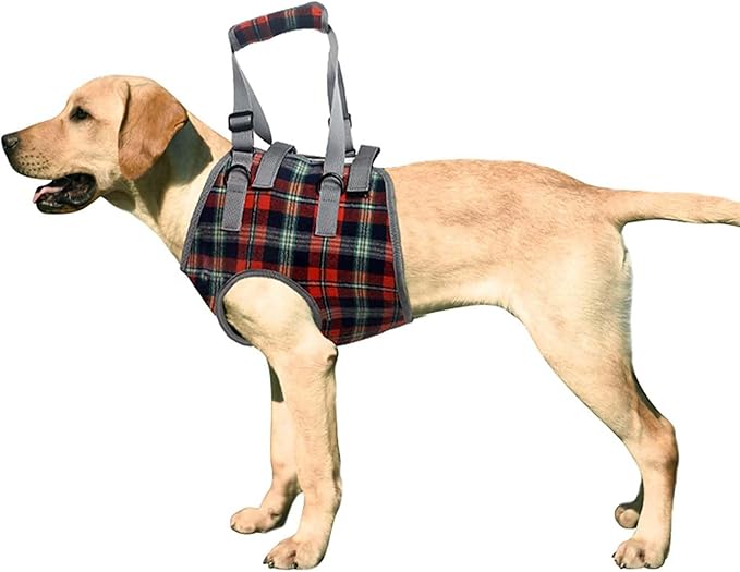 ROZKITCH Dog Lift Harness, Grid Pet Chest Support Aid Veterinarian Approved Sling for Old K9 Help with Poor Stability, Front Legs Disabled Joint Injury Elderly Arthritis ACL Rehabilitation Rehab