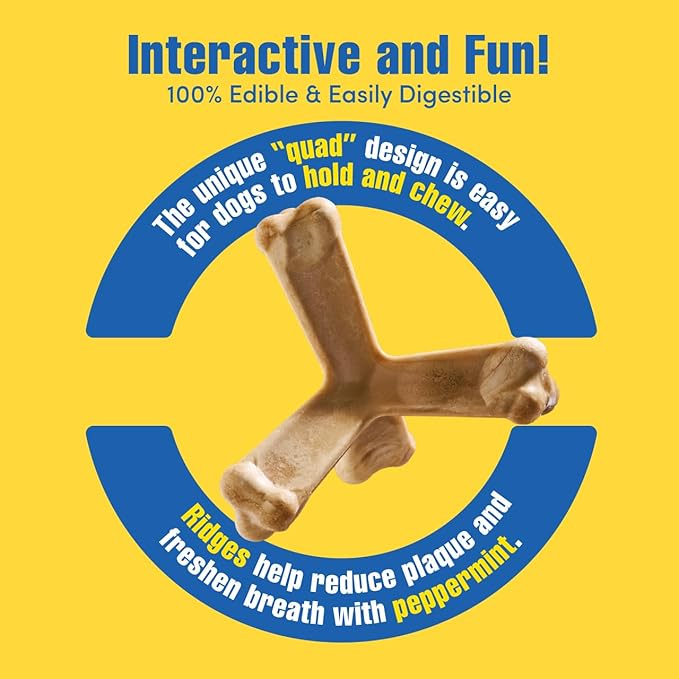Quado Interactive Chew, Ginormous Peanut Flavor (1 Pack), Large