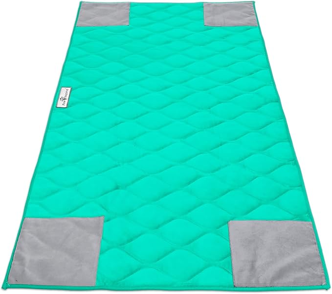 Paw Inspired PopCorner Guinea Pig Cage Liners | Washable Fleece Bedding or Pet Bed Mat for Small Animals | Super Absorbent Pee Pad with Reinforced Corners and Waterproof Bottom (C&C 2x4, Green)